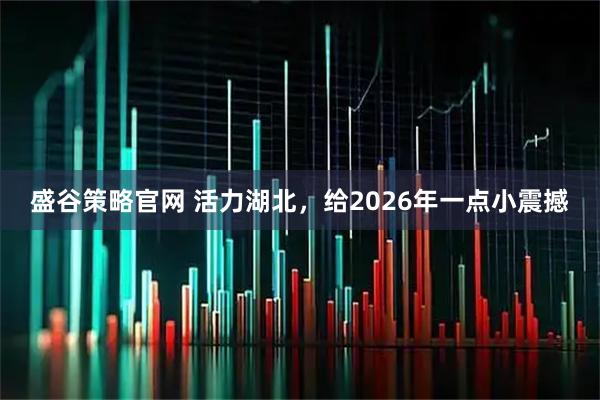 盛谷策略官网 活力湖北，给2026年一点小震撼