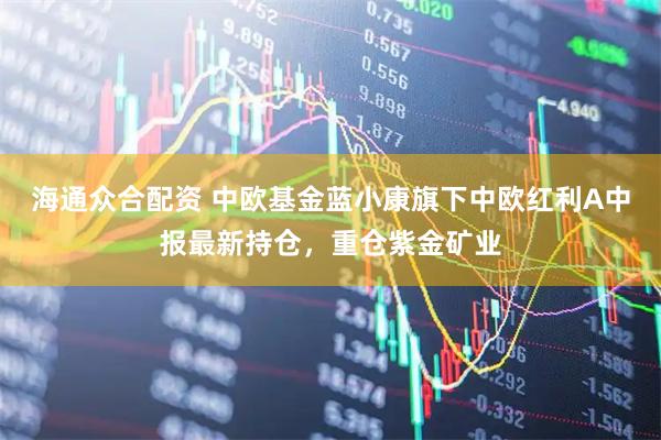 海通众合配资 中欧基金蓝小康旗下中欧红利A中报最新持仓，重仓紫金矿业
