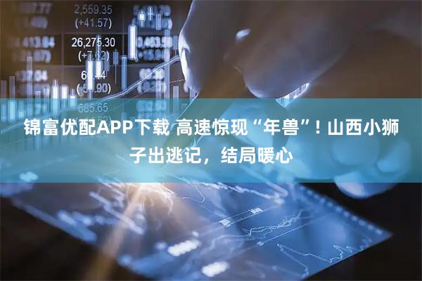 锦富优配APP下载 高速惊现“年兽”! 山西小狮子出逃记，结局暖心