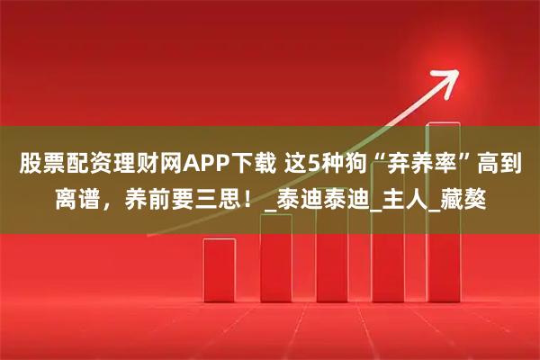 股票配资理财网APP下载 这5种狗“弃养率”高到离谱，养前要三思！_泰迪泰迪_主人_藏獒
