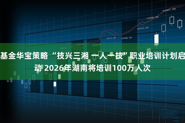 基金华宝策略 “技兴三湘 一人一技”职业培训计划启动 2026年湖南将培训100万人次